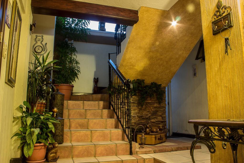 Mi Casa, Tu Casa Apartment Guatemala City Exterior photo