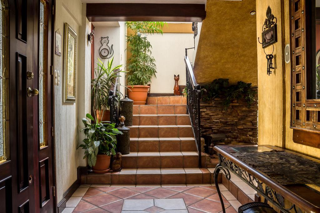 Mi Casa, Tu Casa Apartment Guatemala City Exterior photo